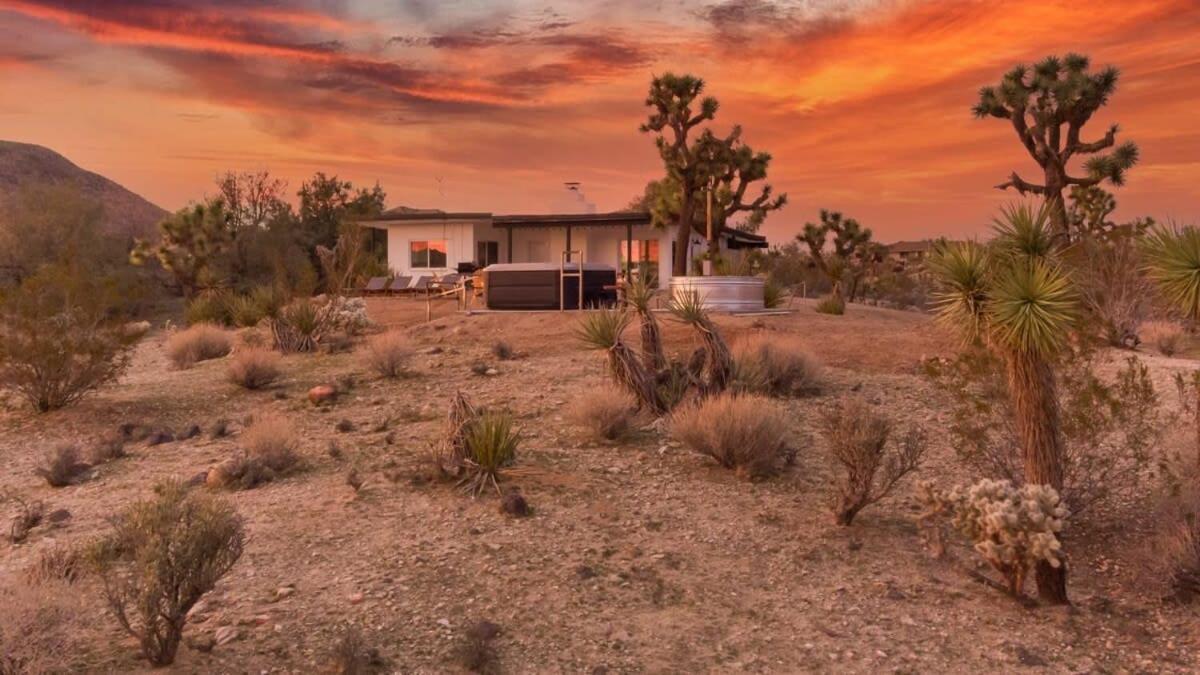 Vila Kinetic House-Joshua Trees Sculptures Cowboy Pool Yucca Valley Exteriér fotografie